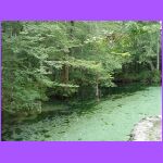 River - Ponce de Leon Springs.jpg